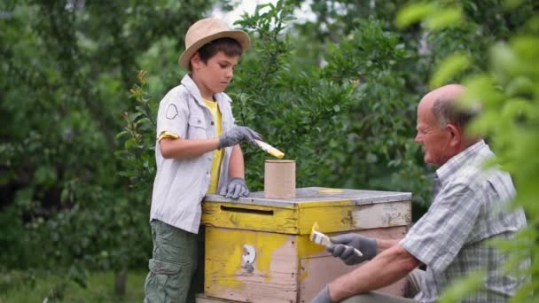 Vecchio apicoltore e suo nipote dipinge vernice gialla con pennello su un vecchio alveare di legno in giardino nella stagione estiva — Video Stock