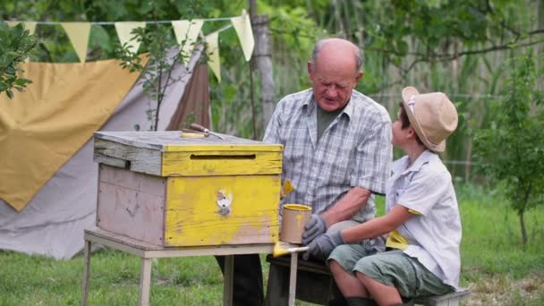 Dziadek pszczelarz i jego wnuk zajmują się rodzinnym biznesem i malują drewniane uli żółtą farbą w ogrodzie — Wideo stockowe