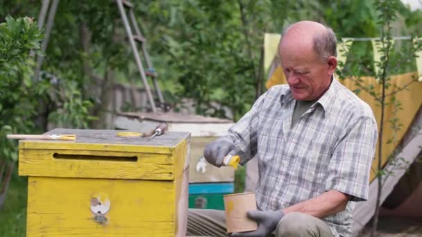 Az öreg méhész méhkaptárt készít a méheknek, és sárgára festi ecsettel a fa deszkákon, miközben a kertben ül. — Stock videók
