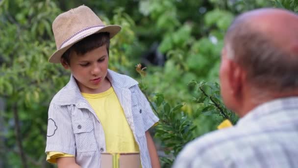 Gyermekkor, aranyos férfi gyermek segít a nagyapja méhész festi csalánkiütés festék, miközben pihentető vidéken — Stock videók