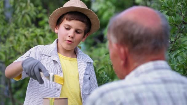 Férias no campo, menino adorável ajudando seu avô apicultor pintar colmeias na colmeia enquanto relaxa no jardim do campo durante as férias de verão — Vídeo de Stock