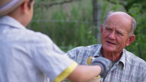 Familj relation, äldre kärleksfull man lär sitt barnbarn om familjeföretag och förbereder bikupor för sommaren på semester utanför staden — Stockvideo