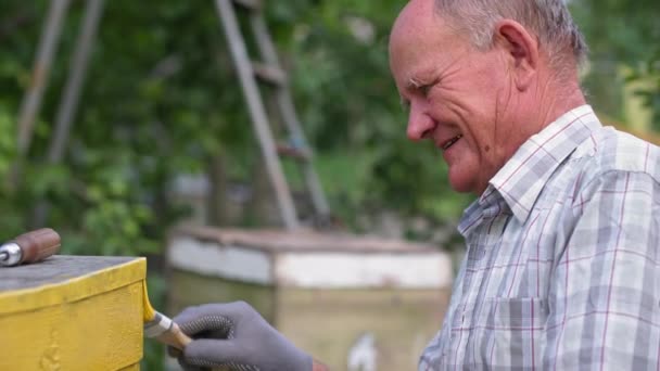 エイパリー古いオスの養蜂家は緑の庭に絵筆で黄色の古い木製の蜂を描きます — ストック動画