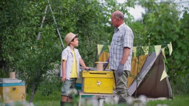 Organic business, old man and his grandson prepare wooden hives for bees during summer season in garden on warm day — Stock Video