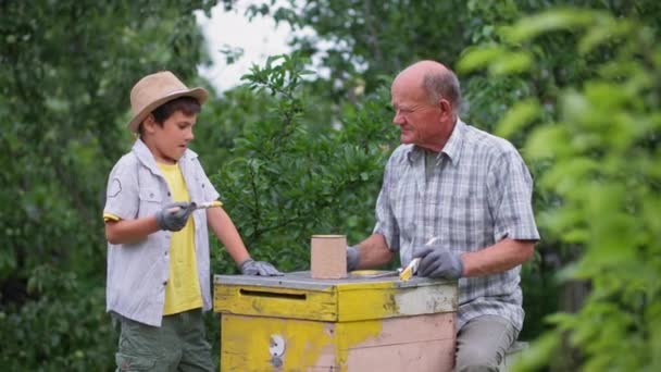 Negocios orgánicos, un chico trabajador y su abuelo el apicultor pintar colmenas de abejas de madera en el jardín en un día cálido — Vídeo de stock