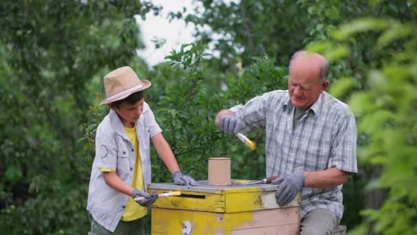 Apicultura, nieto amigable y abuelo pintan colmena juntos en el jardín en la tarde caliente durante las vacaciones rurales — Vídeos de Stock