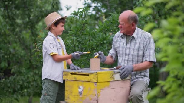 Μελισσοκομία, φροντίδα εγγονός μαζί με τον παππού του, ζωγραφίζει κυψέλη μελισσών στον κήπο μεταξύ των δέντρων με βούρτσα — Αρχείο Βίντεο