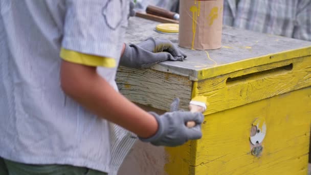 Apicultura, pequeño niño ayuda a su querido abuelo apicultor para pintar una colmena de abejas en el jardín mientras se relaja en el campo — Vídeos de Stock