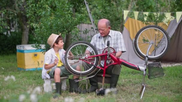 Infância, criança do sexo masculino feliz repara uma roda em uma bicicleta com um homem comum e dá um ao outro cinco enquanto sentado no jardim na tarde de verão — Vídeo de Stock