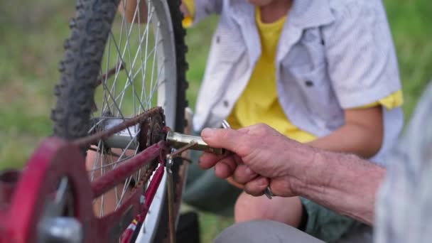 Avô amigável e neto reparar roda de bicicleta, juntamente com ferramentas enquanto sentado no cenário do jardim de árvores verdes — Vídeo de Stock