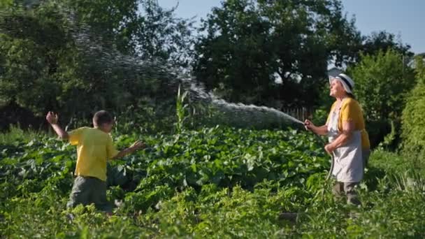 Summer vacation, cheerful boy jumps under spray of water while his grandmother waters vegetables in garden — Stock Video