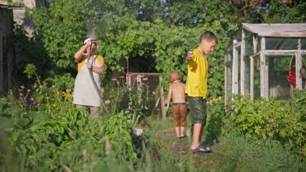 szülők, boldog fiúk élvezni fogják játszani a nagymamával, és ugrás alatt fröccsenő víz, miközben öntözni a kertben egy meleg nyári napon