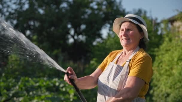 Улыбающаяся пожилая женщина счастливо поливает из шланга урожай в огороде в солнечный день на ферме — стоковое видео