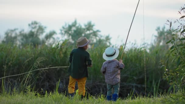 Ενεργά παιχνίδια, ευτυχισμένη αρσενικά παιδιά πιάσει ψάρια χρησιμοποιώντας καλάμια ψαρέματος, ενώ χαλαρώνοντας από τη λίμνη στο πράσινο λιβάδι μεταξύ καλάμια — Αρχείο Βίντεο