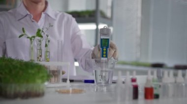 Fabrika laboratuvarları, kadın laboratuvar asistanı modern sera arkaplanındaki mikroyeşil lahanaları sulamak için ölçüm cihazı ile su kalitesini inceliyor.