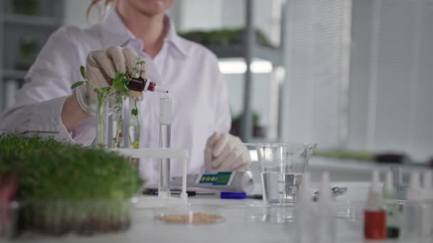 Bio laboratorium, ekolog wanita mempelajari modifikasi genom tanaman dan pereaksi menetes ke dalam tabung reaksi dengan air untuk mempelajari reaksi, close-up — Stok Video