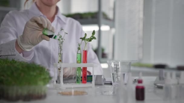Planta modificada genéticamente, microbiólogo científico femenino examina brotes de semillas con en tubos de ensayo sentado en el laboratorio, primer plano — Vídeo de stock