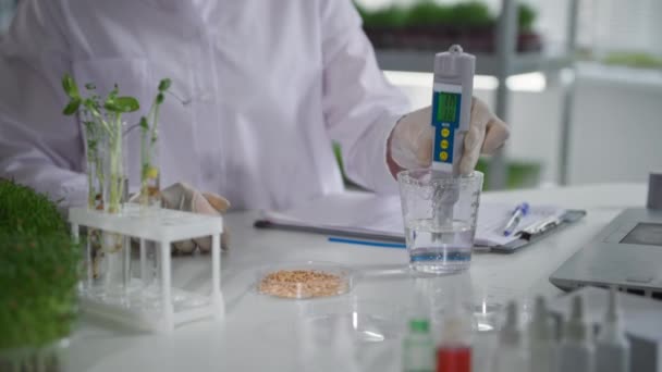 Biolaboratório, mulher ecologista em luvas médicas examina a dureza de levar a derramar as plantas e estudar as reações de plantas geneticamente modificadas, close-up — Vídeo de Stock