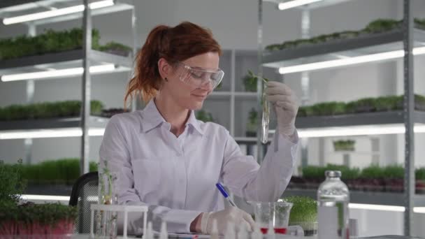 Cientista feminina usando óculos realiza experimentos biológicos com plantas em tubo de ensaio e goteja reagente para estudar a reação do sistema radicular de mudas e escreve observações em caderno enquanto — Vídeo de Stock