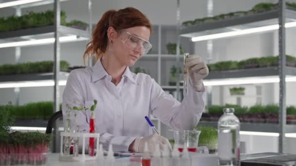 Estudos geneticamente modificados, assistente de laboratório sorrindo goteja reagente no tubo de ensaio com brotos de plântulas para estudar a reação de micro verde sentado em laboratório, sorrindo e olhando para a câmera — Vídeo de Stock