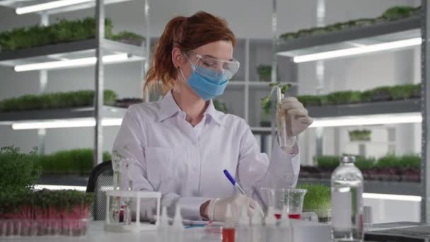 Laboratorio modificado genéticamente, bióloga científica en máscara médica gotea reactivo en tubo de ensayo con brotes de plántulas para estudiar la reacción de micro verde, sonriendo y mirando a la cámara — Vídeo de stock