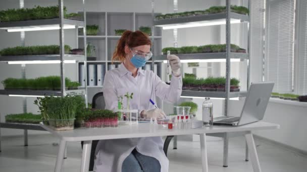 Pesquisa biológica em laboratório, geneticista feminina goteja reagentes em tubos de ensaio com brotos germinados para estudar reações químicas de plantas enquanto sentado no fundo de prateleiras em casa de vegetação — Vídeo de Stock