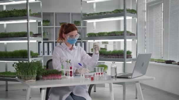 Retrato de cientista em máscara médica pingando produtos químicos em tubos de ensaio com plantas para estudar a reação de micro sistema de raiz verde e mudas enquanto sentado em laboratório — Vídeo de Stock