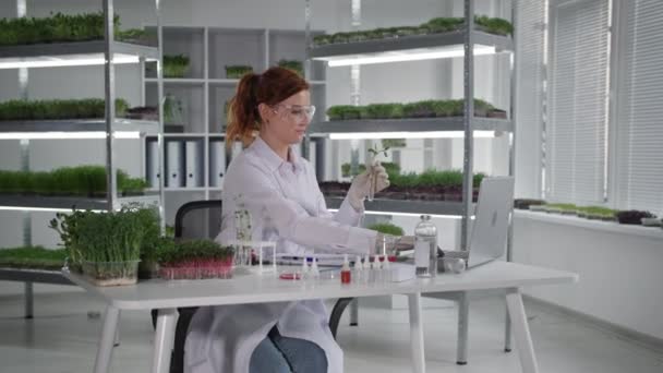 Laboratoire biologique, biologiste femelle effectue des recherches avec des plantules dans des éprouvettes et enregistre les observations dans un ordinateur portable tout en étant assis dans le contexte de serre des étagères avec micro vert — Video