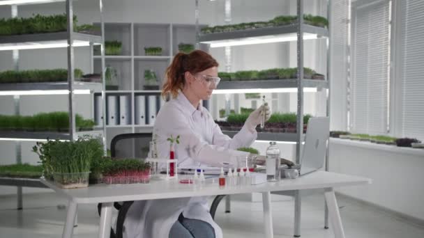 Genetic engineering laboratory, female microbiologist conducts research with seedlings in test tubes and records observations in laptop while sitting in greenhouse, smiling and looking at camera — Stock Video