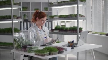 Küçük işletme, modern seranın sahibi kadın, rafların arkasındaki masada oturan dizüstü bilgisayarla video iletişimiyle paketlemede online mikro yeşillikler satıyor.