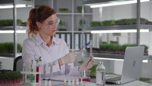 Biológiai kutatás, női biológus kommunikál laboratóriumi asszisztensek videokapcsolat a laptop és megvitatása növények kémcsövek, miközben ül a laboratóriumi háttér polcok mikro — Stock videók