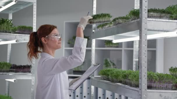 Органические растения, портрет женщины-биолога в очках и перчатках исследует молодые микрозеленые растения в контейнерах и записывает состояния протектора в современной лаборатории — стоковое видео