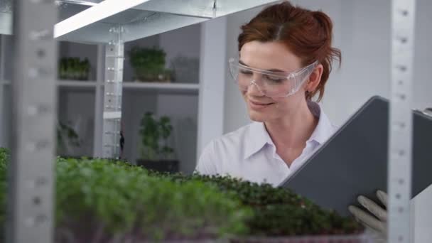 Sonriente trabajadora de laboratorio de biología femenina examina el estado de los micro verdes en contenedores en el moderno telón de fondo de invernadero de los estantes — Vídeo de stock