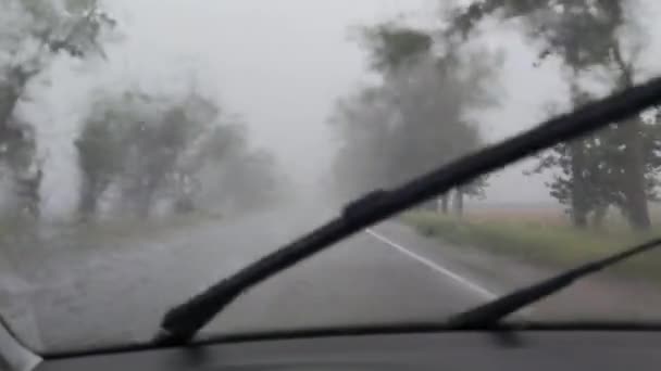 Машина едет по дороге между деревьями в плохую дождливую погоду, дворники снимают дождь с ветрового стекла в замедленной съемке — стоковое видео