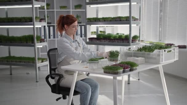 Jolie femme d'affaires coupe des pousses fraîches de micro-verts biologiques à vendre et les met dans un sac en plastique assis en toile de fond de racks avec des plantes dans des conteneurs — Video