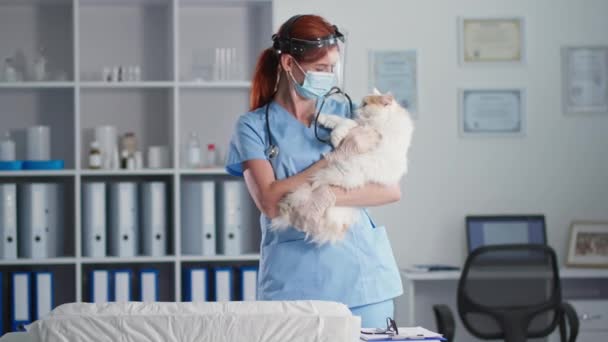 Háziállat egészség, női orvos védő napellenző és maszk egy macska a karjában belenéz kamera állatorvosok iroda — Stock videók