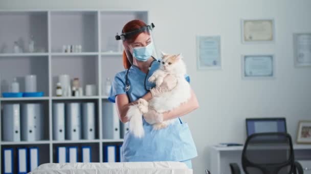 Portré női orvos orvosi maszk és védő napellenző az arcon macskával a karjában áll az állat-egészségügyi hivatal, nézi a kamera — Stock videók