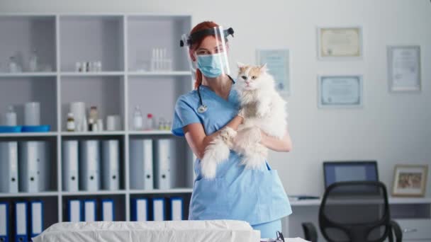 Veterinario en escudo protector y escudo facial con gato en sus brazos en la oficina médica, mirando a la cámara — Vídeos de Stock