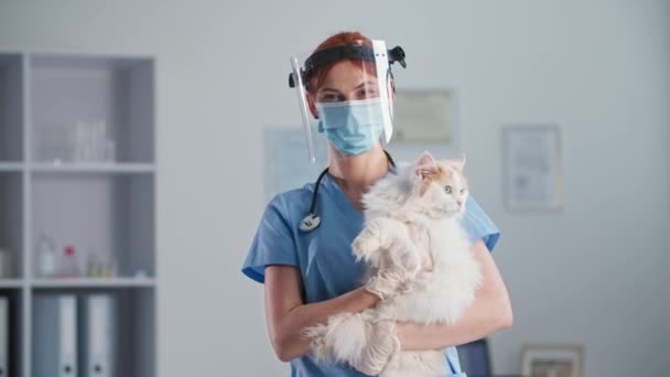 Verzorging van huisdieren, jonge dierenarts met masker en gezichtsschild houdt een kat in de armen terwijl hij in het medisch kantoor staat, glimlacht en naar de camera kijkt — Stockvideo