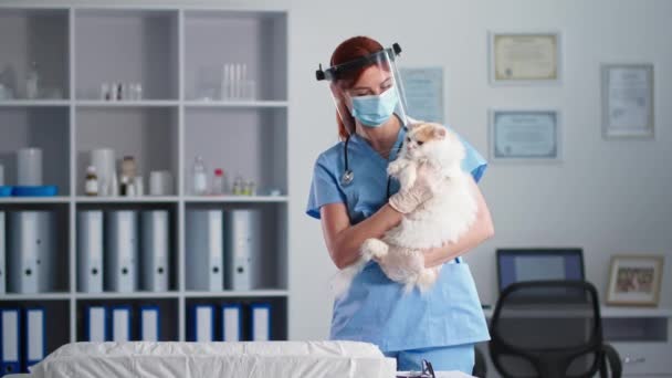 Cuidado de animales, joven doctora en visera médica y máscara con gato doméstico en sus brazos sonríe y mira a la cámara en el consultorio médico — Vídeos de Stock