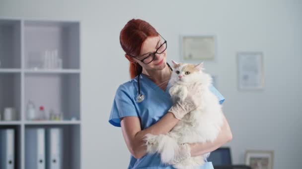 Animal de compagnie santé, femme soignante médecin dans des lunettes avec phonendoscope autour de son cou avec chat dans les bras se tient dans le bureau vétérinaire, sourit et regarde la caméra — Video