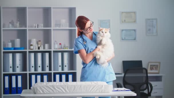Tratamiento y cuidado de los animales, joven veterinario femenino con gato esponjoso en brazos en el consultorio médico, sonriendo y mirando a la cámara — Vídeo de stock