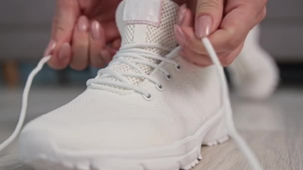 1,588 vídeos de Cordones de metraje Cordones de calzado sin royalties |