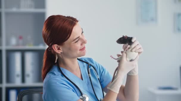 Портрет професійної жінки-ветеринара з маленьким щуром в руках під час огляду в медичному кабінеті, посміхаючись і дивлячись на камеру — стокове відео