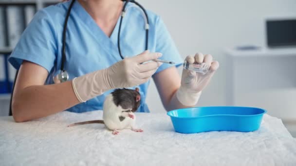 Уход за животными, молодая ветеринар в медицинских перчатках, инъекции шприца в лабораторию клиники, крупный план — стоковое видео