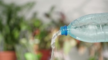 Saf içme suyu fabrika ofisindeki ekolojik plastik şişeden bardağa dökülüyor.