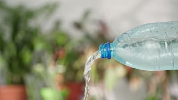 Reines Trinkwasser wird im Werksbüro aus einer ökologischen Plastikflasche in ein Glas gegossen, Nahaufnahme — Stockvideo