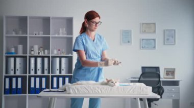 Veteriner kliniği, çekici kadın doktor evcil kediyi aşıladı. Tıp bürosunda virüsleri ve hastalıkları önledi. Gülümsedi ve kameraya baktı.