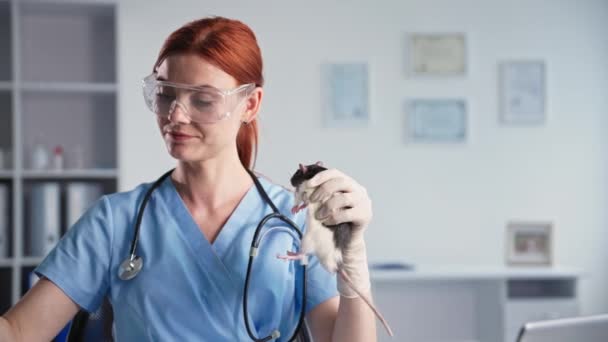 Veterinární medicína, mladá lékařka vyšetřuje domácí mazlíčky a maziva na nose vedlejší krysy na klinice — Stock video