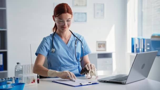 Cuidado de los animales, mujer veterinario trabajador de la clínica examina pequeña rata y escribe lecturas en forma mientras está sentado en la mesa con el ordenador portátil en el hospital — Vídeos de Stock